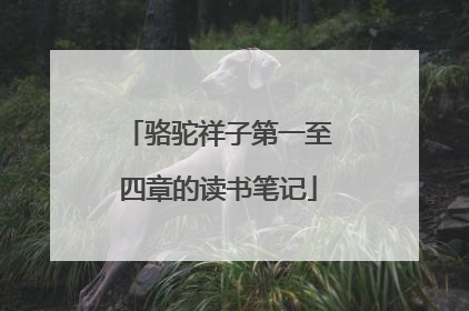 骆驼祥子第一至四章的读书笔记