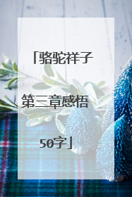 骆驼祥子第三章感悟50字