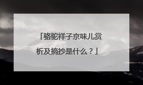 骆驼祥子京味儿赏析及摘抄是什么？