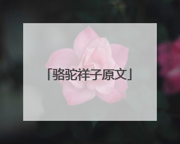 骆驼祥子原文