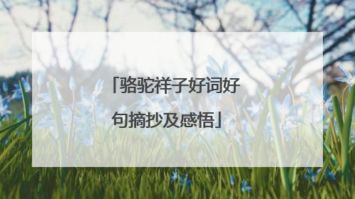 骆驼祥子好词好句摘抄及感悟