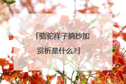 骆驼祥子摘抄加赏析是什么?