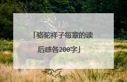 骆驼祥子每章的读后感各200字