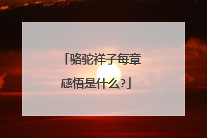 骆驼祥子每章感悟是什么?