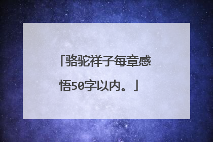 骆驼祥子每章感悟50字以内。