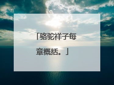 骆驼祥子每章概括。