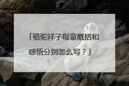 骆驼祥子每章概括和感悟分别怎么写？