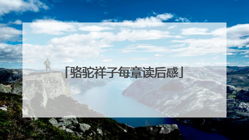 骆驼祥子每章读后感