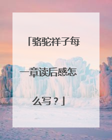 骆驼祥子每一章读后感怎么写?