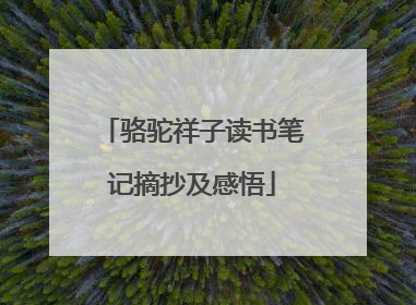 骆驼祥子读书笔记摘抄及感悟