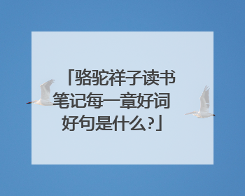 骆驼祥子读书笔记每一章好词好句是什么?