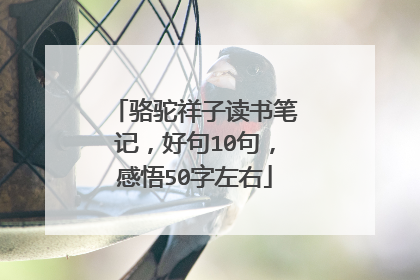 骆驼祥子读书笔记,好句10句,感悟50字左右