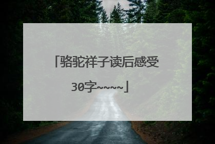 骆驼祥子读后感受30字~~~~