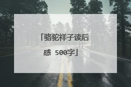 骆驼祥子读后感 500字