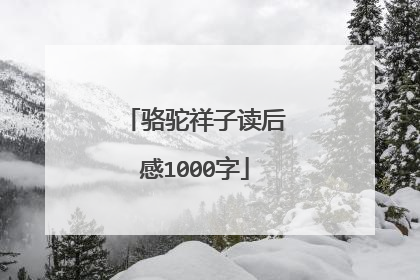骆驼祥子读后感1000字