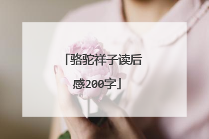 骆驼祥子读后感200字