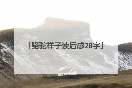 骆驼祥子读后感20字