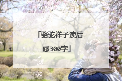 骆驼祥子读后感300字