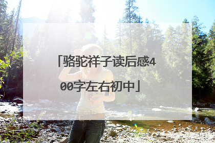 骆驼祥子读后感400字左右初中