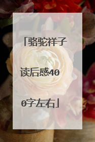 骆驼祥子读后感400字左右