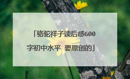 骆驼祥子读后感600字初中水平 要原创的