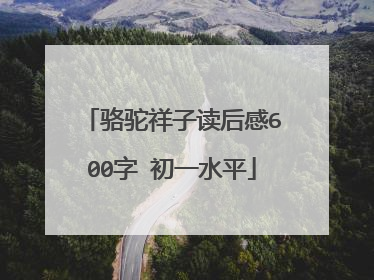 骆驼祥子读后感600字 初一水平