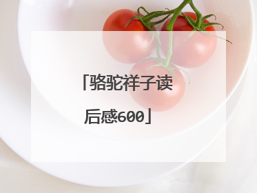 骆驼祥子读后感600