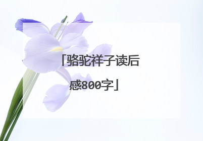 骆驼祥子读后感800字