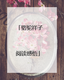 骆驼祥子阅读感悟