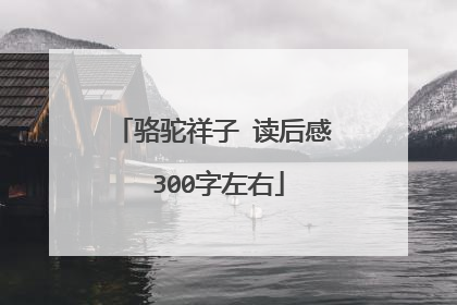 骆驼祥子 读后感 300字左右