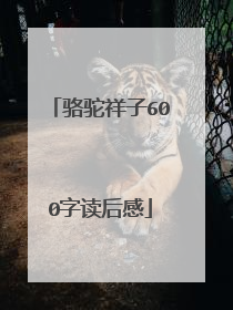 骆驼祥子600字读后感