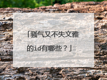 骚气又不失文雅的id有哪些?