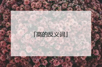 高的反义词