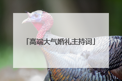 高端大气婚礼主持词