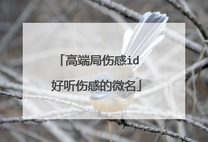 高端局伤感id 好听伤感的微名