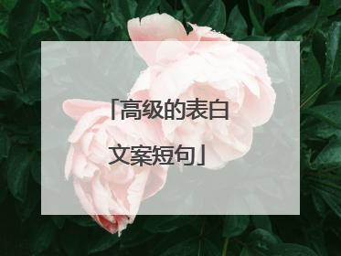高级的表白文案短句