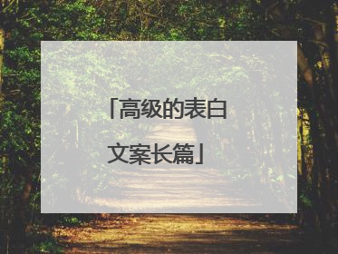 高级的表白文案长篇