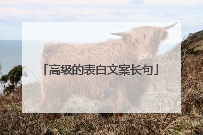 高级的表白文案长句