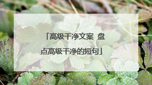 高级干净文案 盘点高级干净的短句