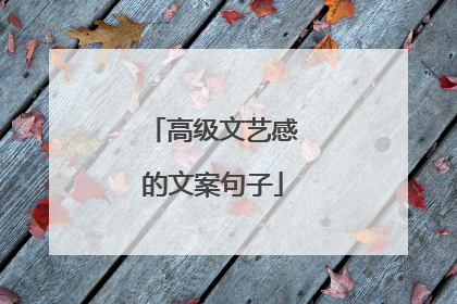 高级文艺感的文案句子