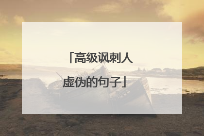 高级讽刺人虚伪的句子