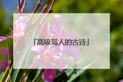 高级骂人的古诗