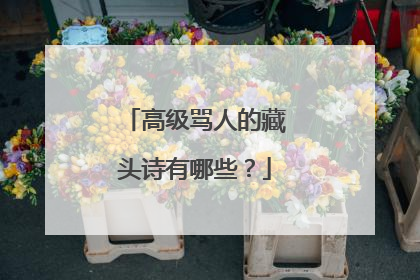 高级骂人的藏头诗有哪些？