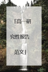 高一研究性报告范文