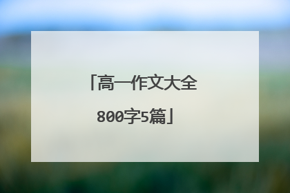 高一作文大全800字5篇