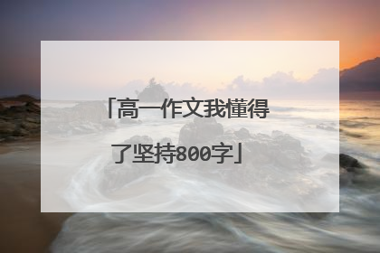 高一作文我懂得了坚持800字
