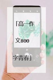 高一作文800字青春