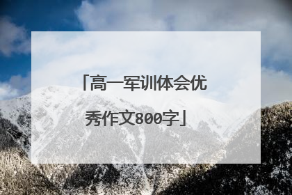 高一军训体会优秀作文800字