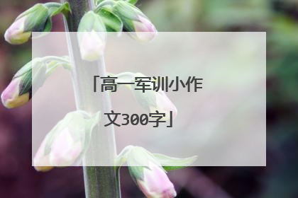 高一军训小作文300字