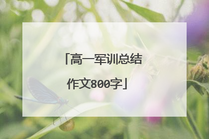 高一军训总结作文800字